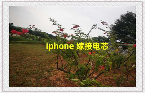 iphone 嫁接电芯